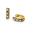 Oval Hoop Earrings
